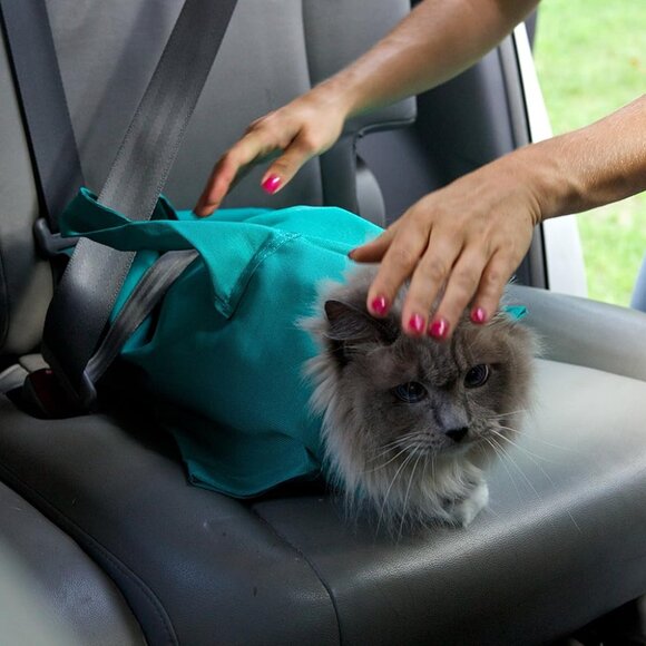 Leopard Print Cat Carrier - Picture 4 of 6